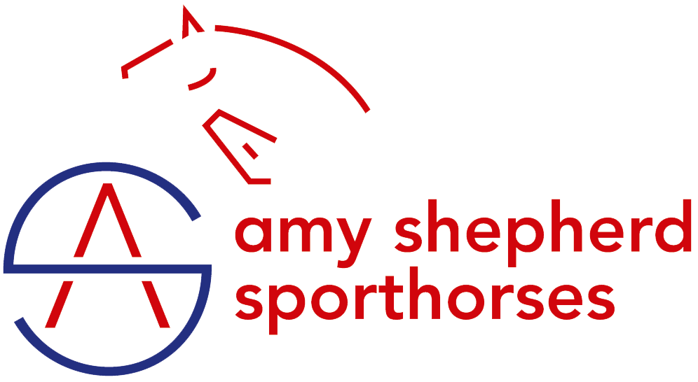 amy shepherd sporthorses | 